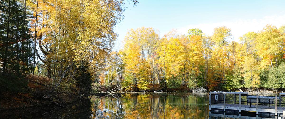 Hiking trails and a large series of freshwater ponds at the fish hatchery in Northern Michigan in Oden, near Alanson, two rural small towns.