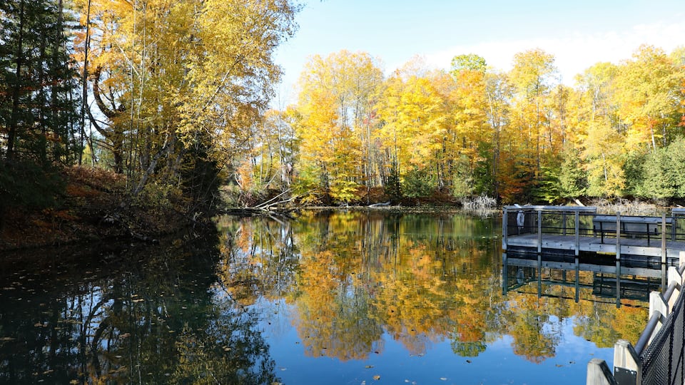 A calm lake surrounded by autumn-colored trees and a wooden dock.