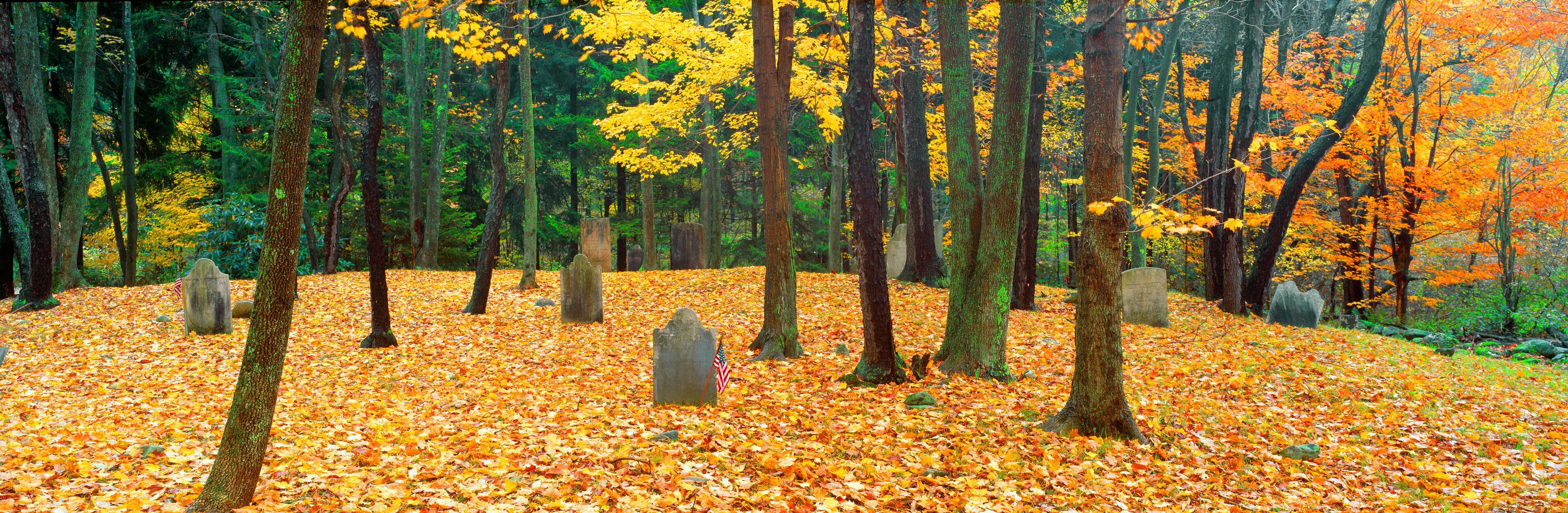 A forest with autumn leaves, trees, and gravestones.
