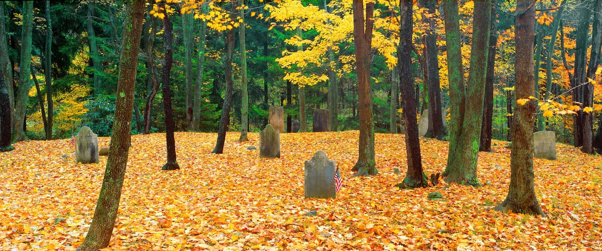 A forest with autumn leaves, trees, and gravestones.