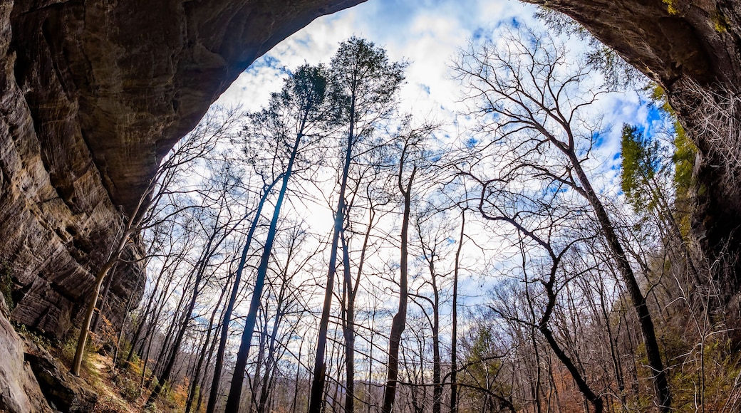 Scenic rocks erosion formation on Twin Arches trail in Big South Fork recreation area