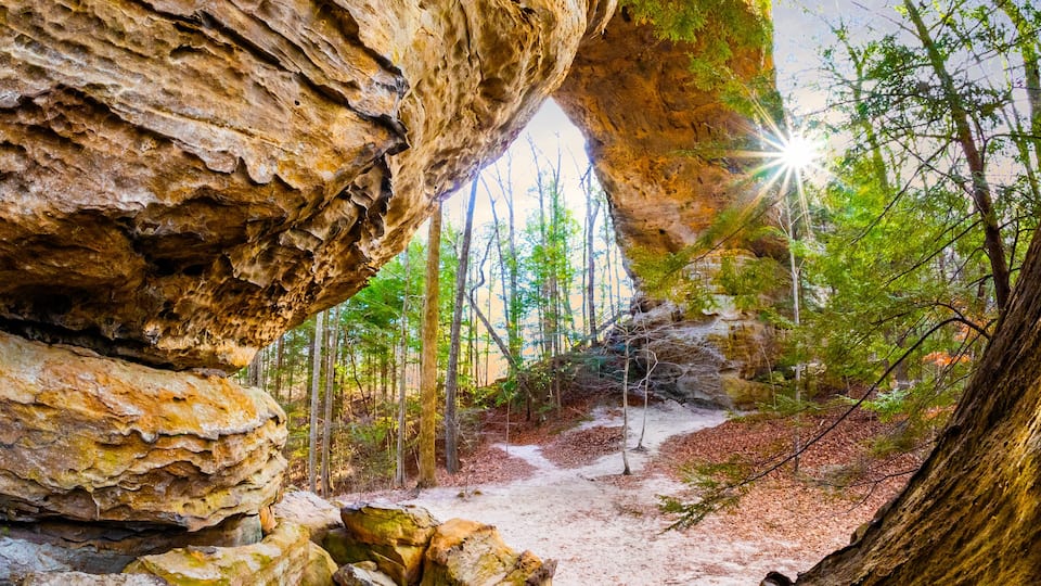A forest with a rocky overhang and a sunlit clearing.