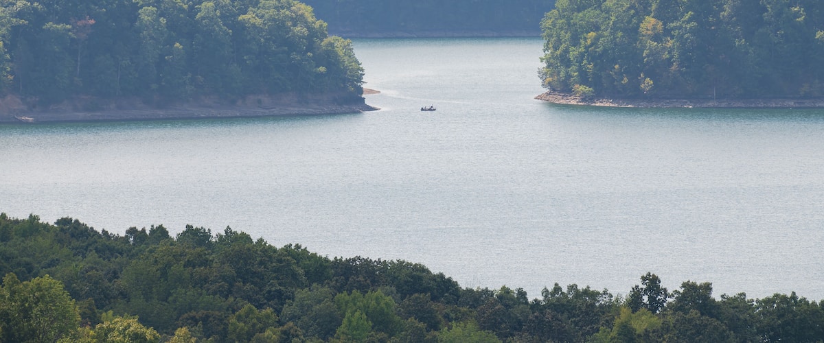 A calm lake surrounded by dense forest.