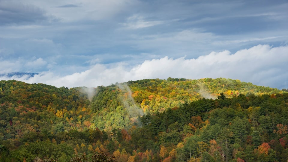 A forested mountain with autumn foliage and a cloudy sky.