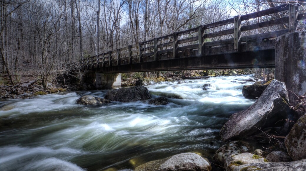 Cascade while fly fishing for rainbows