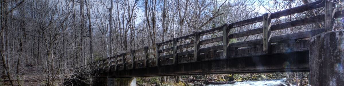 Cascade while fly fishing for rainbows