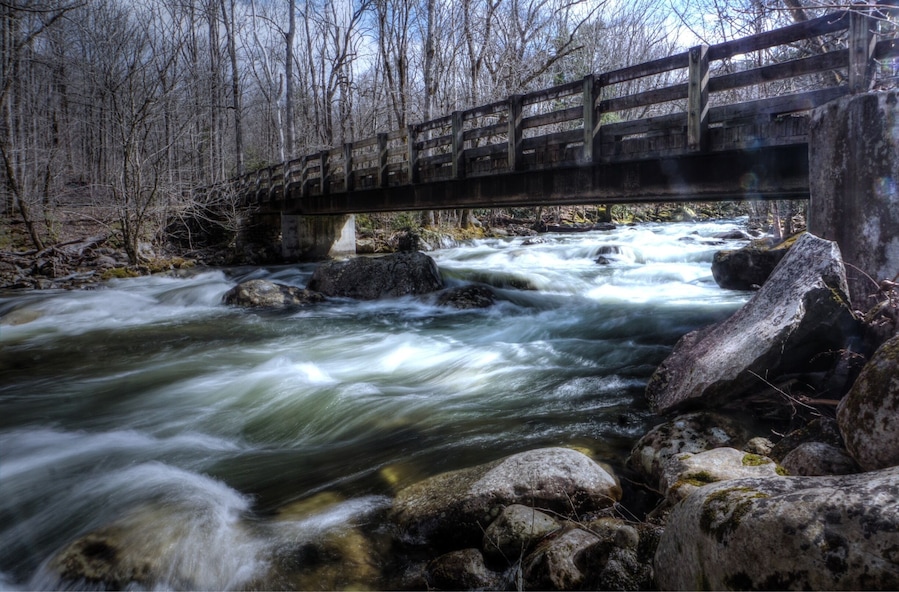 Cascade while fly fishing for rainbows