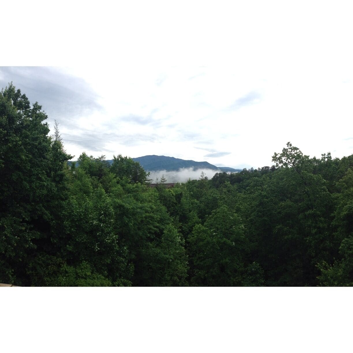 Great view of the Smokey Mountains. 