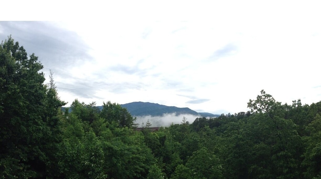 Great view of the Smokey Mountains.