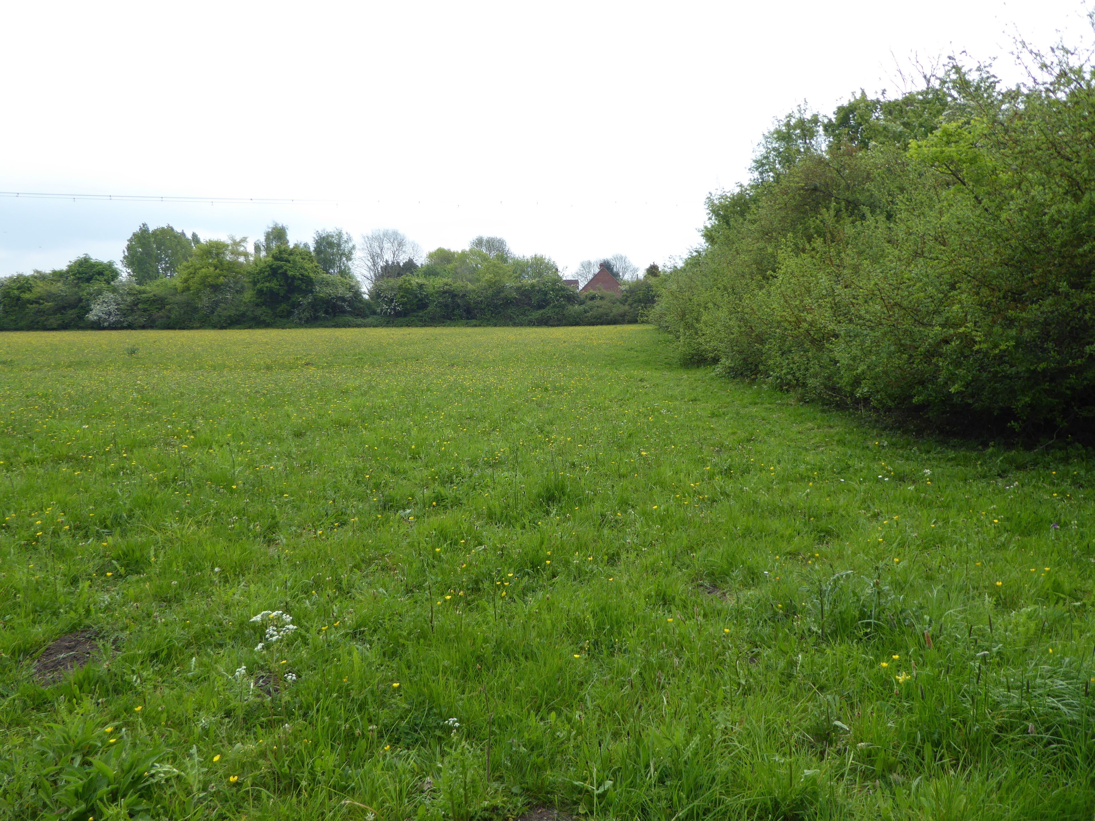 Laurel Farm Meadow is a biological Site of Special Scientific Interest west of Halesworth in Suffolk.