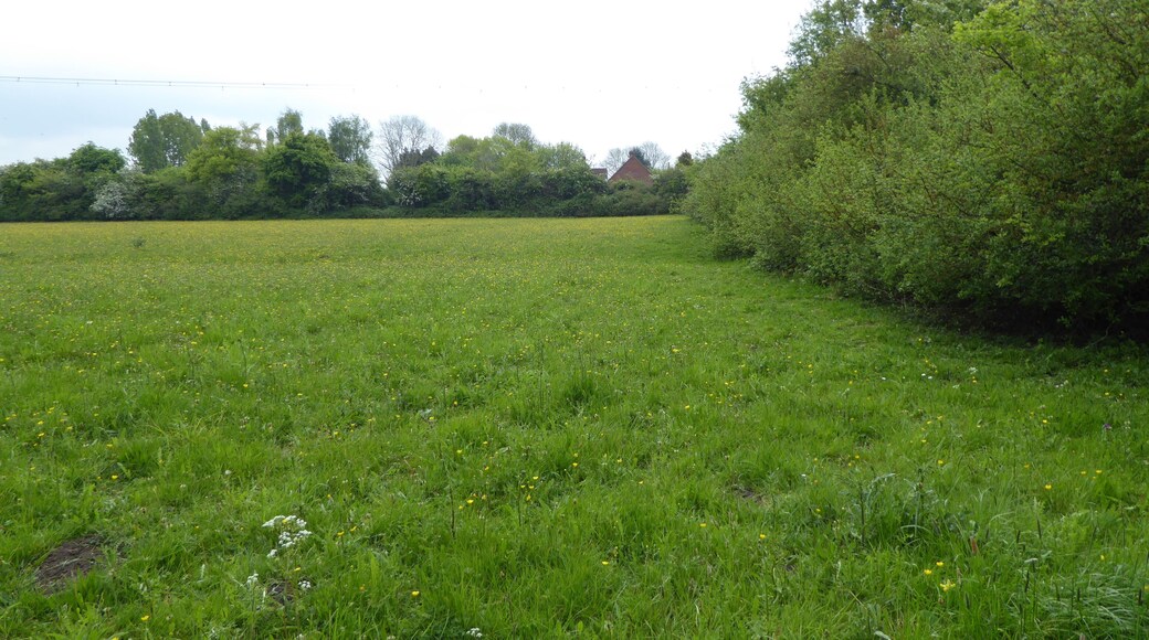 Laurel Farm Meadow is a biological Site of Special Scientific Interest west of Halesworth in Suffolk.