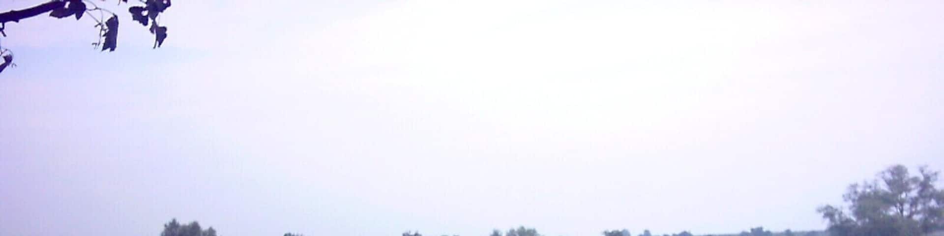 Woods near Willow Farm.