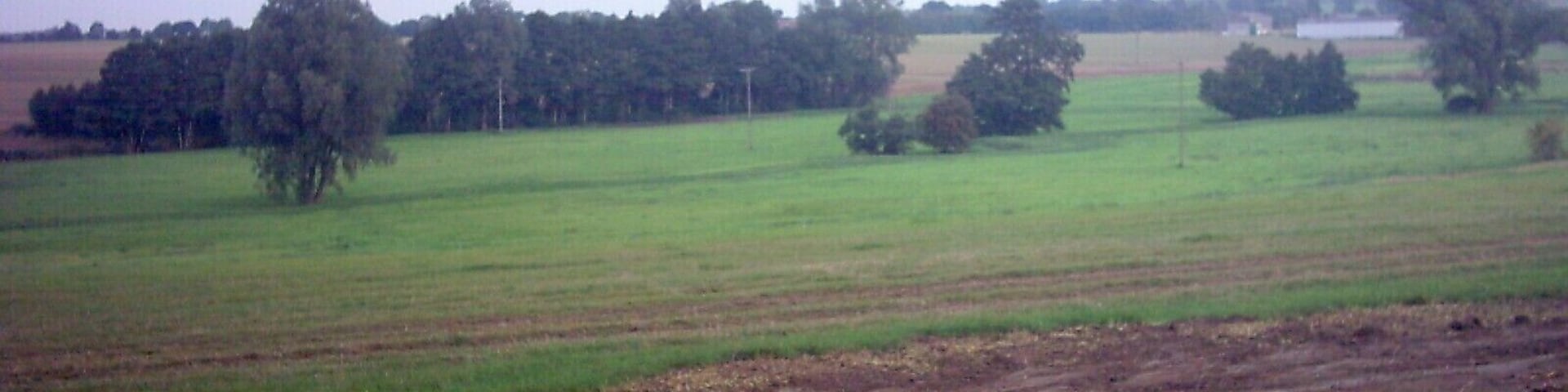 Woods near Willow Farm.