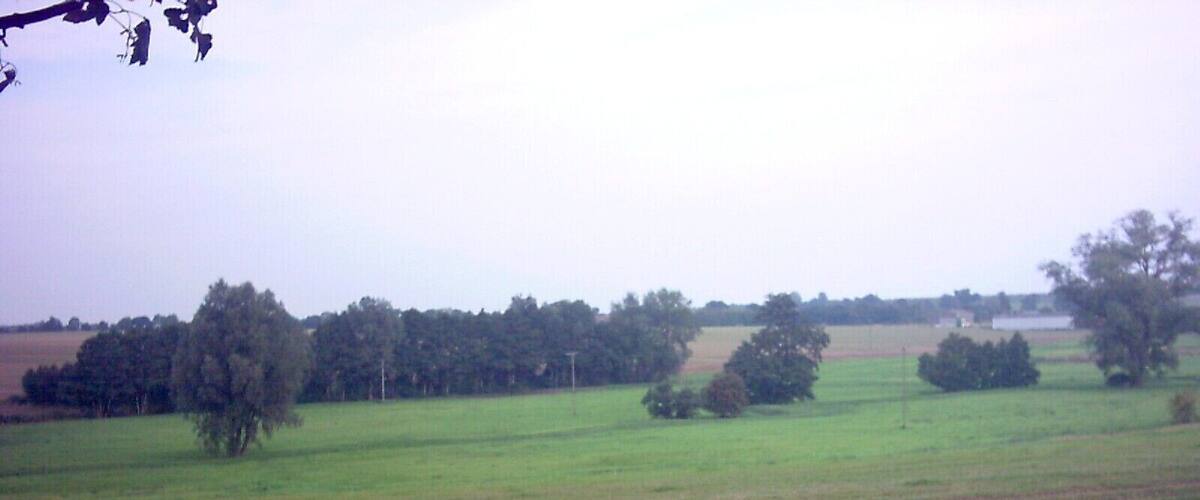 A rural landscape with a dirt path, green fields, and scattered trees.