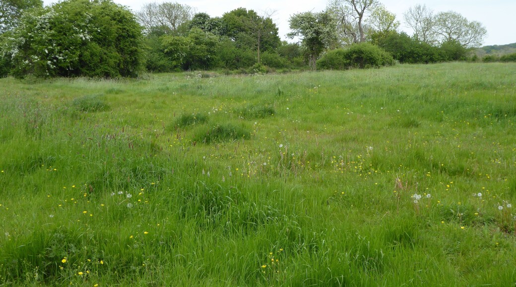 Dew's Ponds is a biological Site of Special Scientific Interest south of Halesworth in Suffolk.
