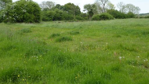 Dew's Ponds is a biological Site of Special Scientific Interest south of Halesworth in Suffolk.