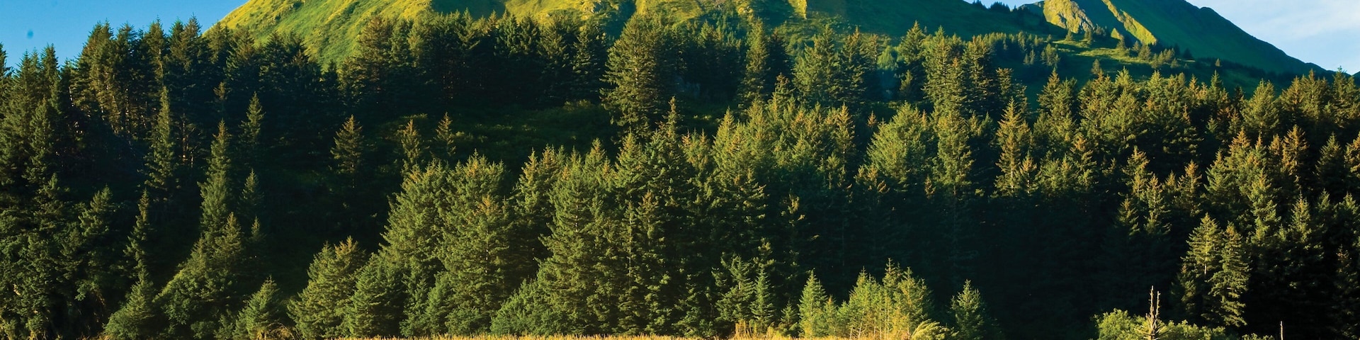 Kodiak Island which includes a lake or waterhole and mountains