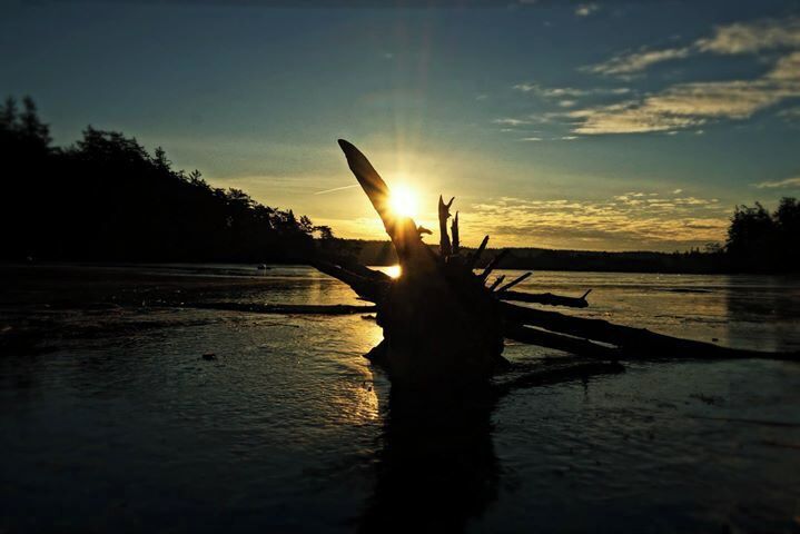 #goldenhour

Whidby Island, in the Puget sound off Seattle, is especially stunning in the winter. Frozen lakes to your left, with the Pacific ocean on your right. Driftwood trapped in the ice are on display, with flocks of Canadian geese about.