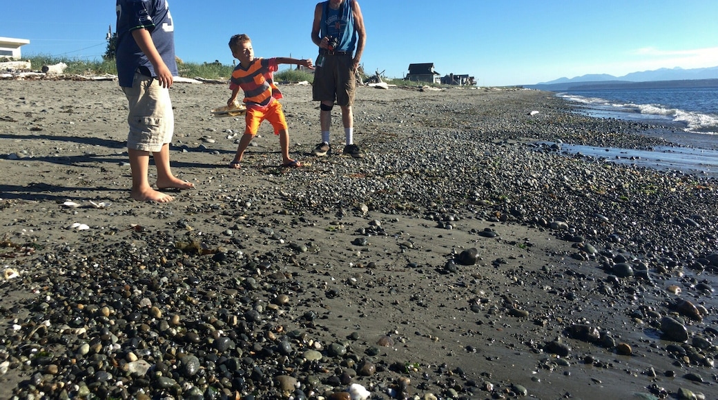 Skipping Rocks in the Puget Sound.
