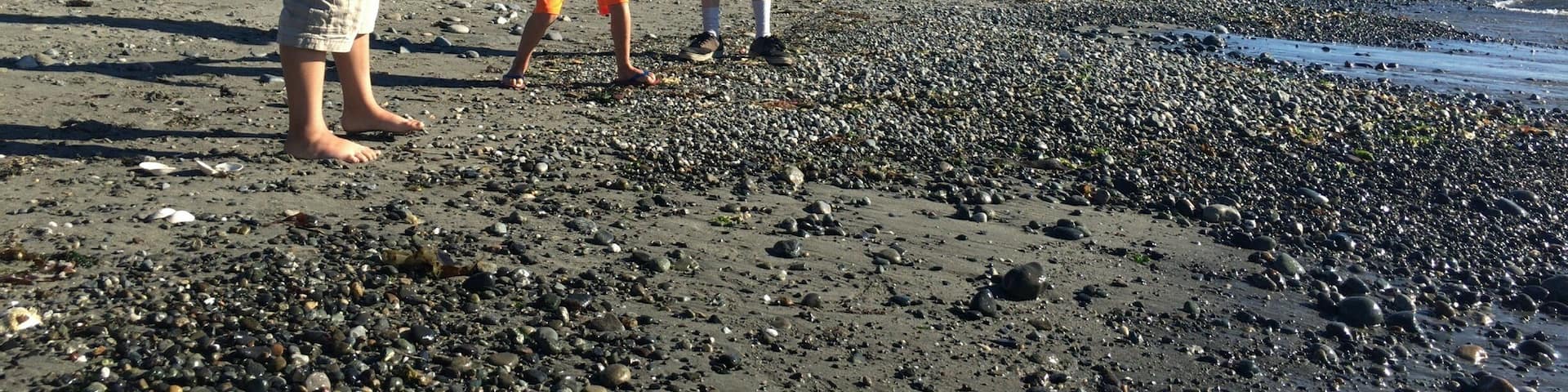 Skipping Rocks in the Puget Sound.