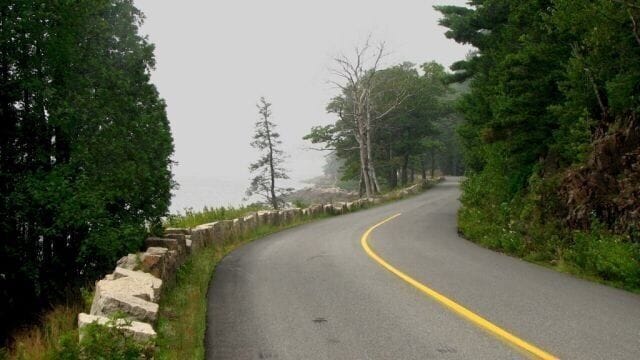 Sargeant Drive in the fog. 