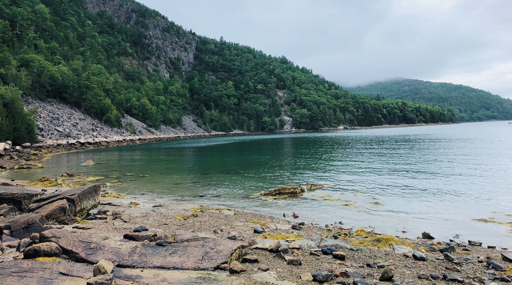 Short hike to the top of flying mountain then down to valley cove in Somes sound