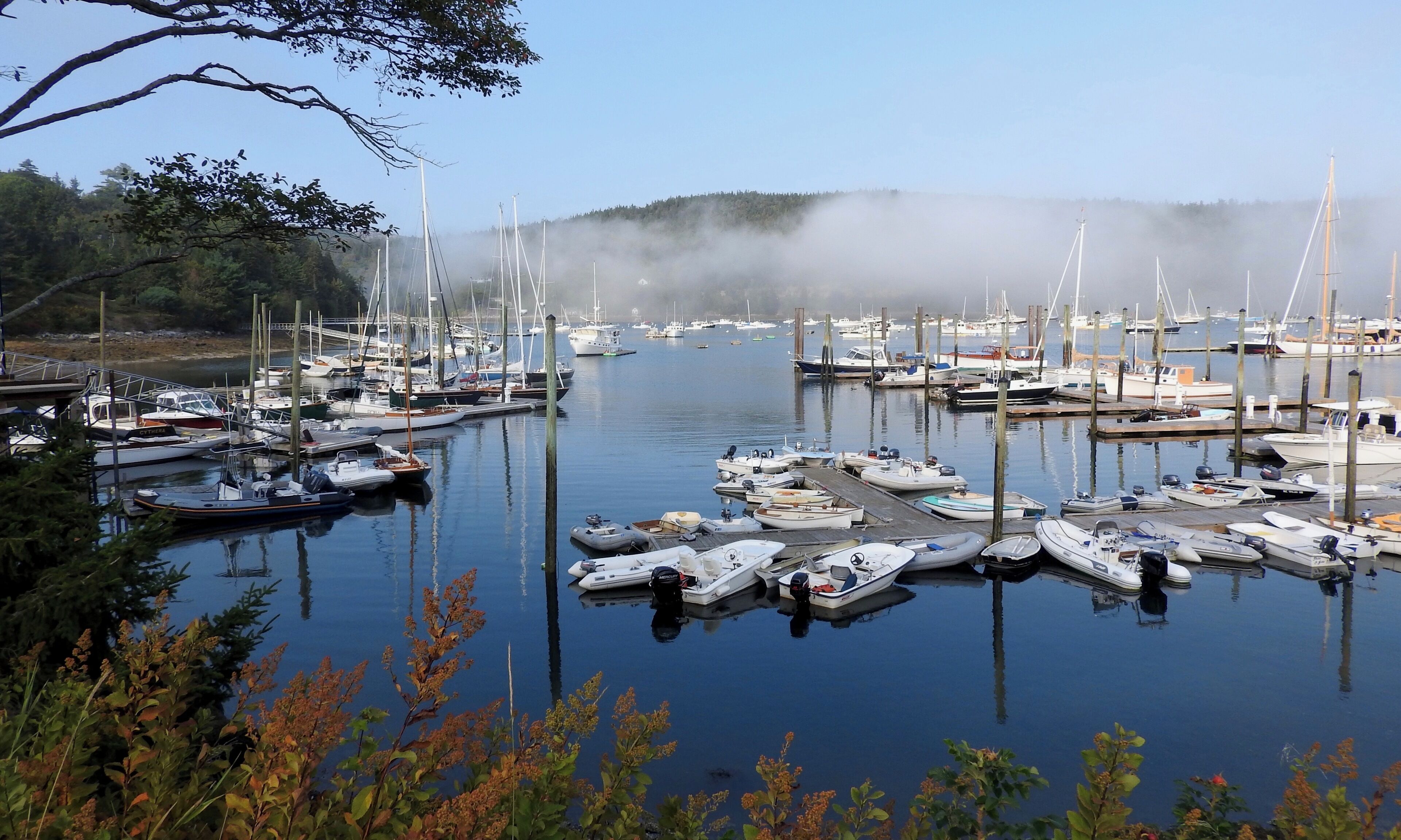 Fog over the marina.

#GreatOutdoors Photo 