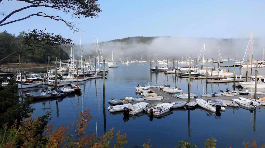 Fog over the marina.
#GreatOutdoors Photo