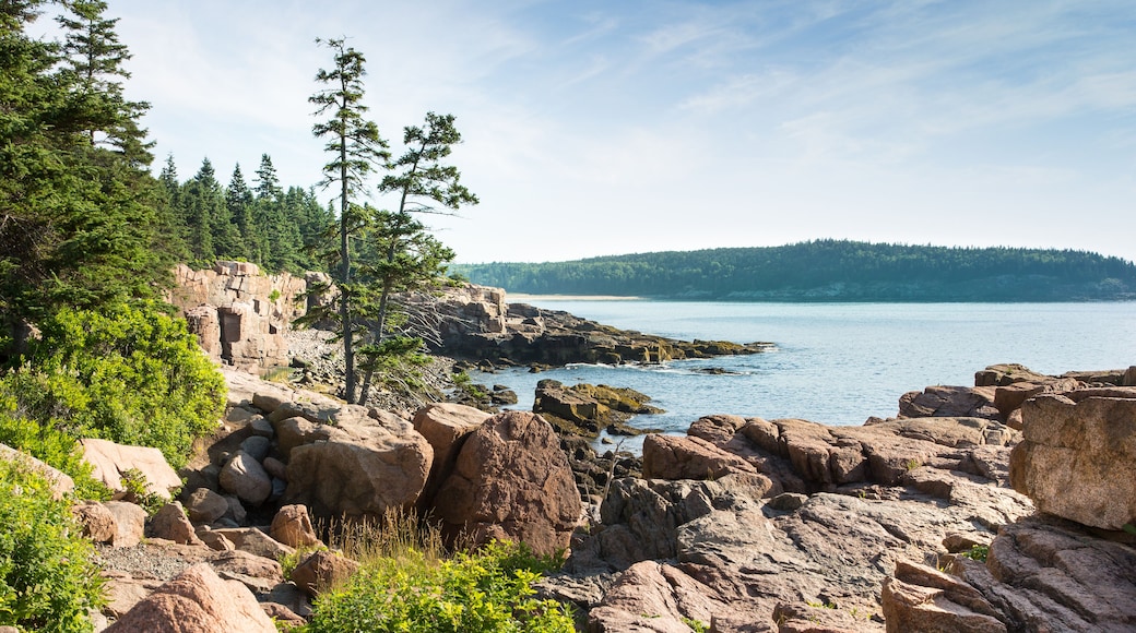 Picturesque Acadia National Park Shoreline