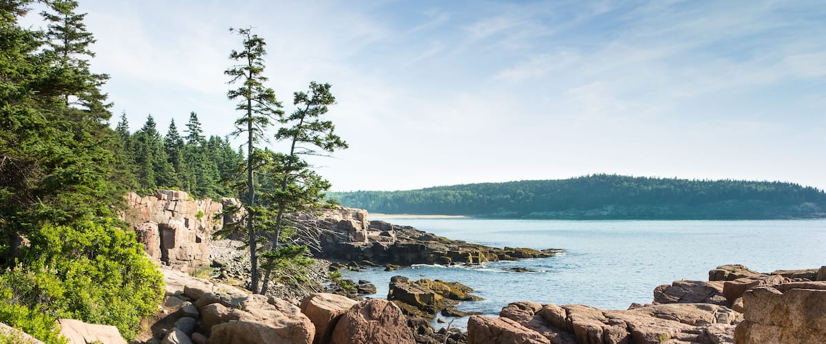 A rocky shoreline with large boulders, dense green trees, and a calm body of water under a clear sky.