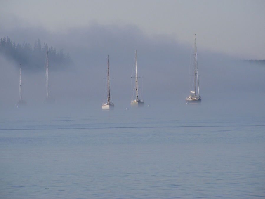 Bass Harbor is a tiny little fishing village to the south of Acadia National Park in Maine. These fishing boats were waiting out the morning fog before heading out on the ocean. #AquqTrove #blue