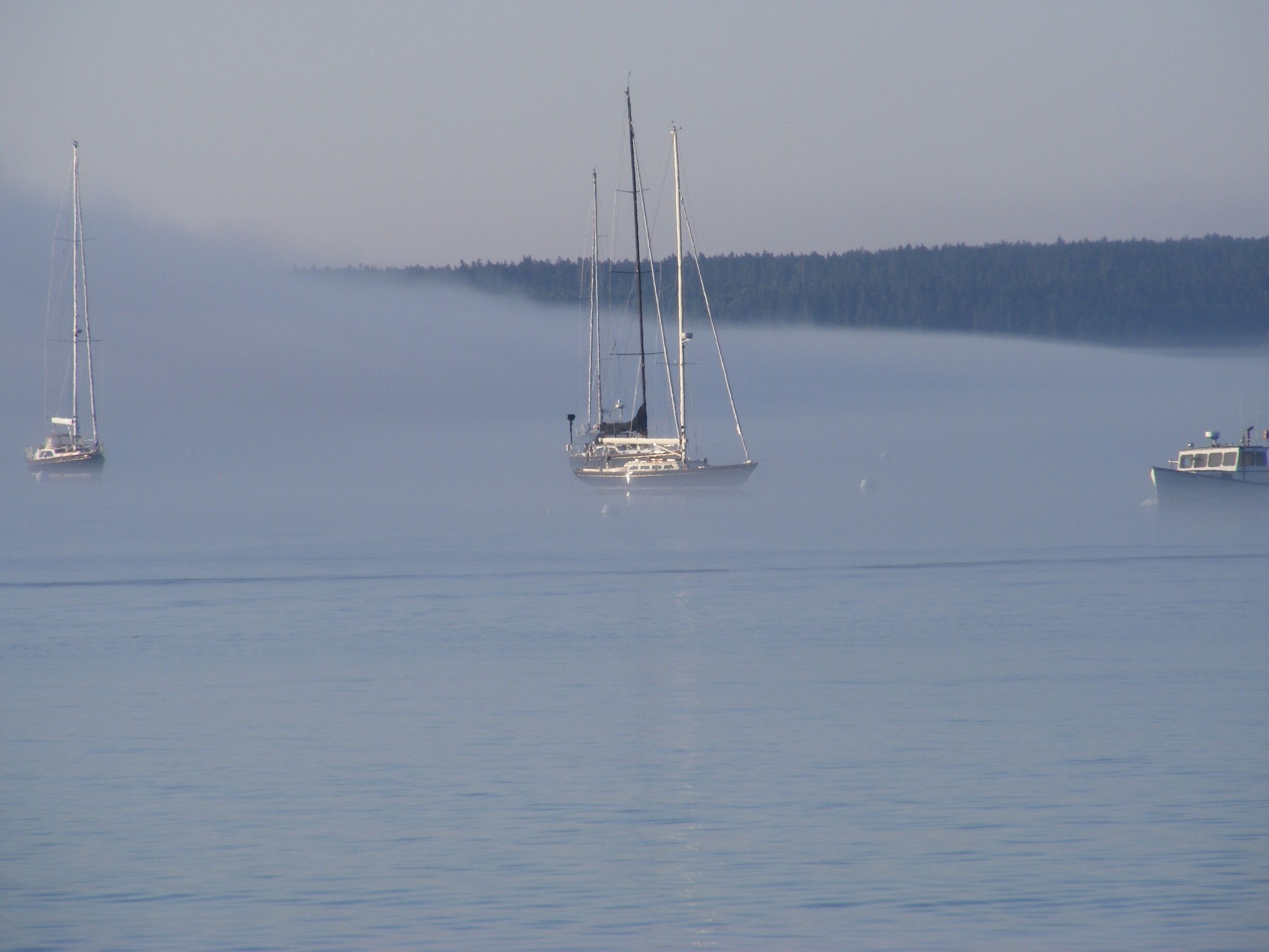 Morning fog rolling in on Bass Harbor, just a short distance outside of Acadia National Park in Maine. #AquaTrove #BVSBlue