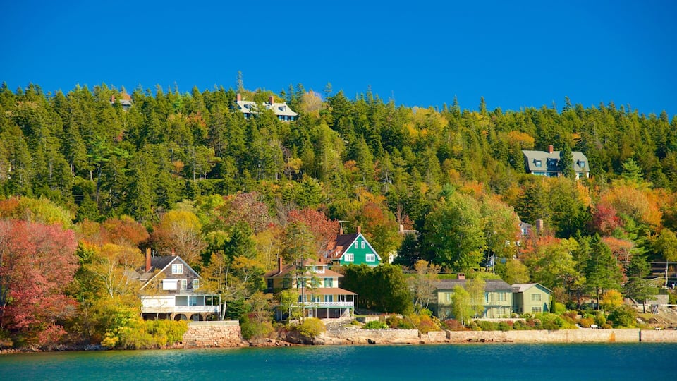 A coastal town with houses on a hillside, surrounded by dense forest and a clear blue sky.