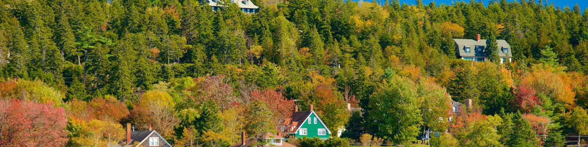 Seal Harbor showing a small town or village and a bay or harbor