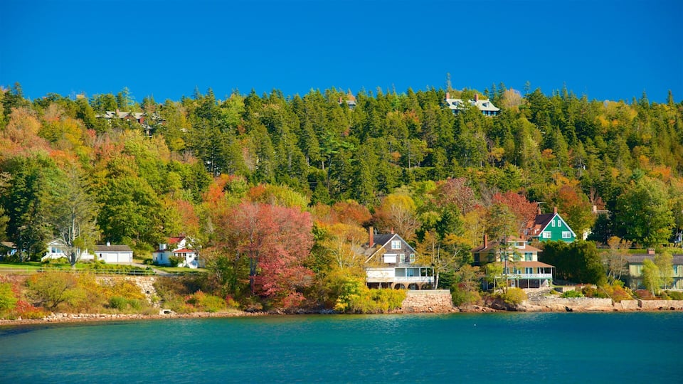 A lakeside community with houses nestled among autumn-colored trees.