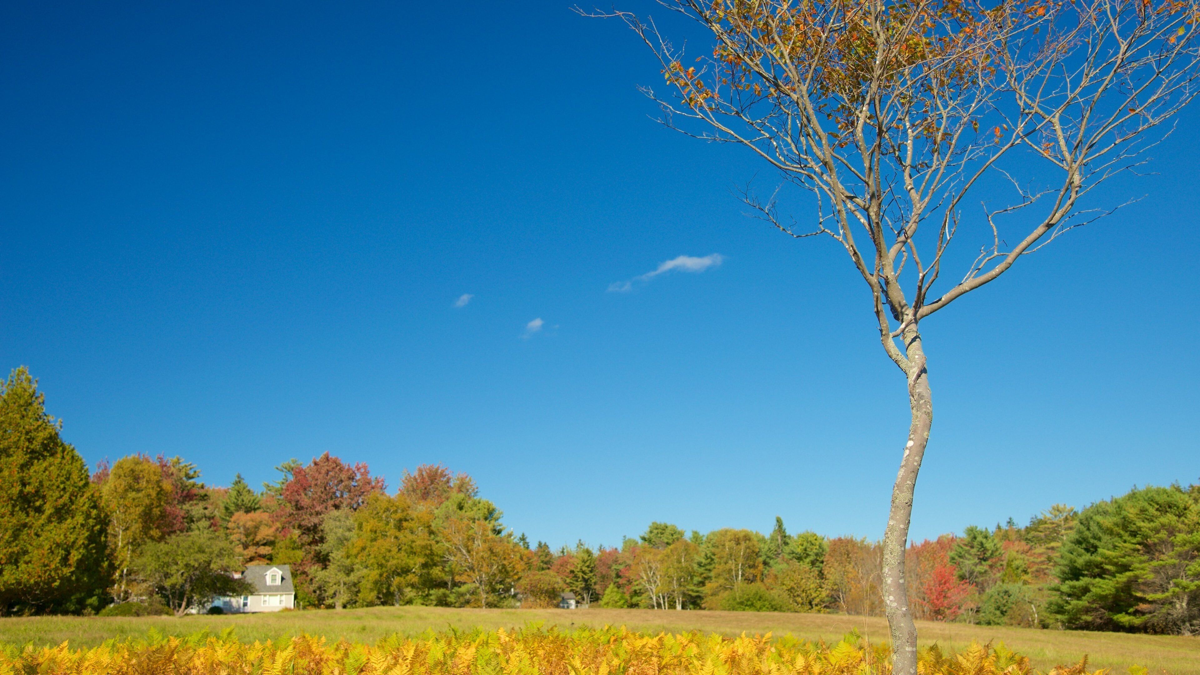 Bar Harbor featuring landscape views and skyline
