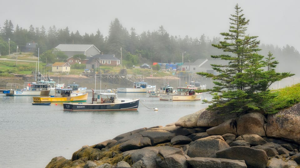 A rocky shoreline with boats docked in a harbor, surrounded by houses and trees.