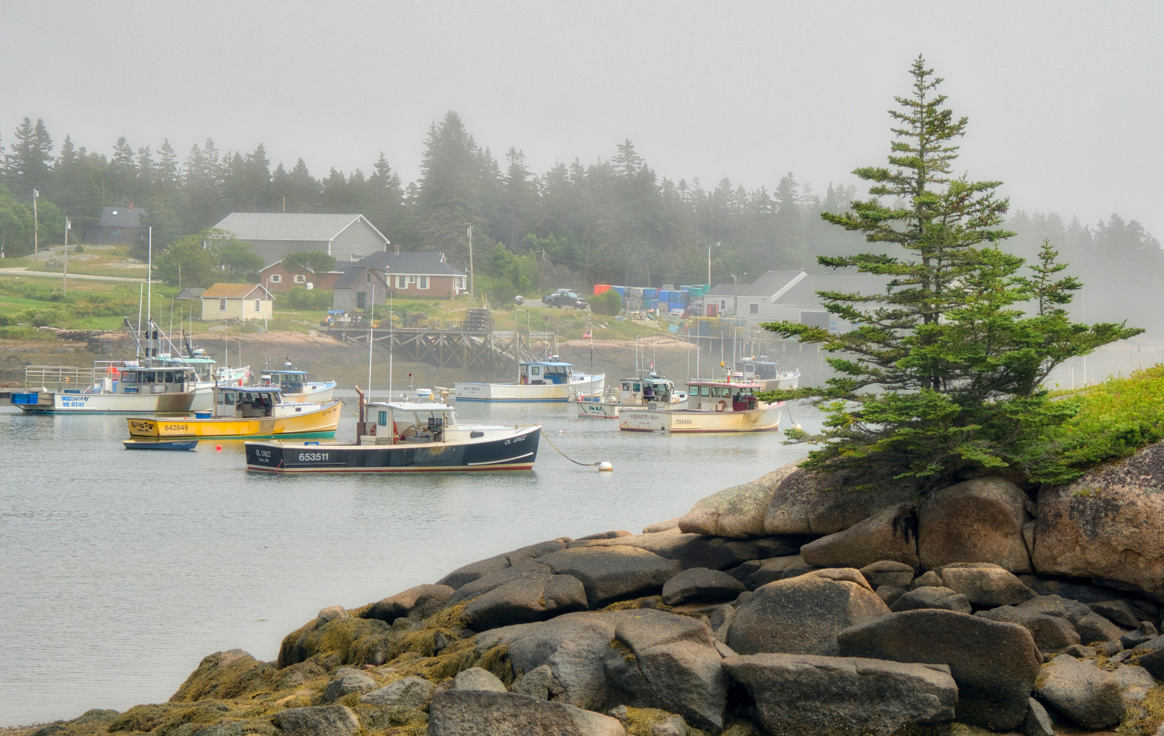 A rocky shoreline with boats docked in a harbor, surrounded by houses and trees.
