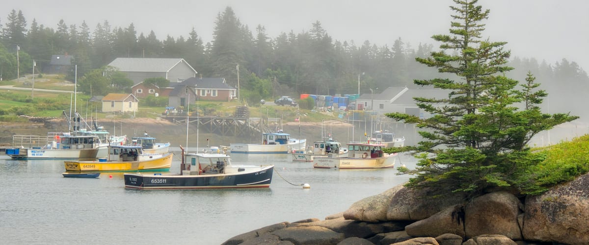 A rocky shoreline with boats docked in a harbor, surrounded by houses and trees.