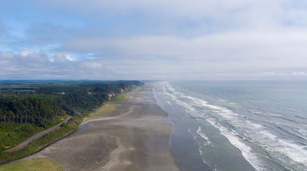 Aerial view of Pacific Beach in Seabrook, Washington