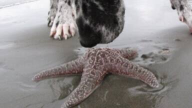 My new favorite spot on the NW Pacific Coast!