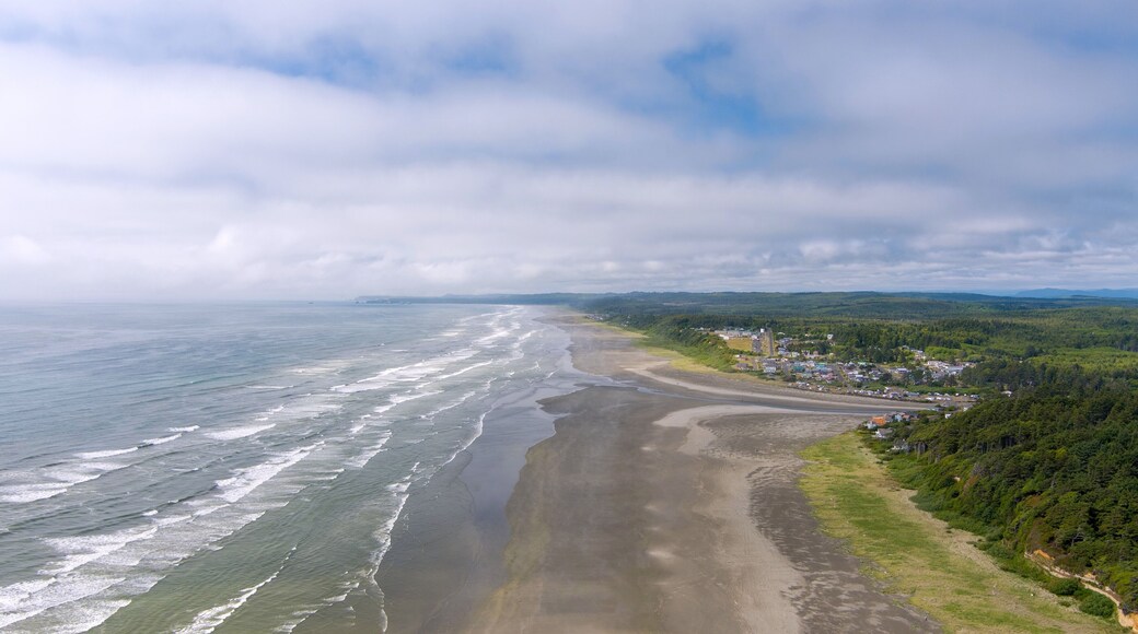 Aerial view of the beach at Seabrook, Washington