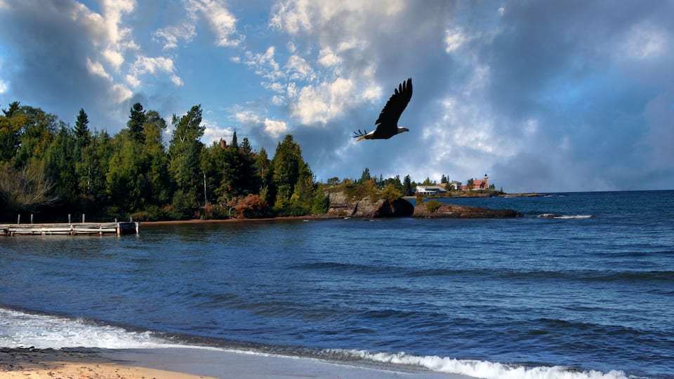 A beach with a wooden pier, a forested shoreline, and a bird flying over the water.
