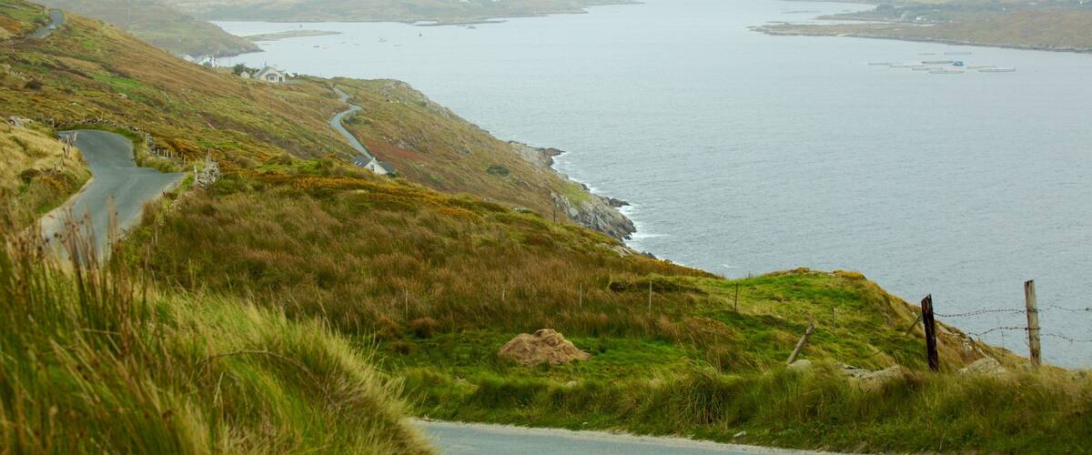 A coastal road winding through grassy hills with a view of the sea and distant land.
