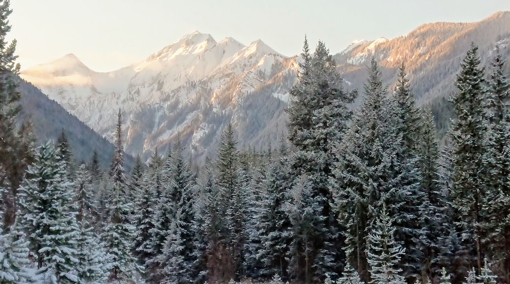 Mount Hadiken is one of my favorite mountains in the Elkford area. In early summer when the snow in the bowl starts to melt, numerous waterfalls are visible tumbling down.