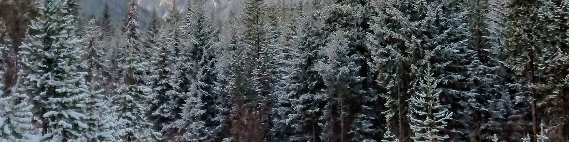 Mount Hadiken is one of my favorite mountains in the Elkford area. In early summer when the snow in the bowl starts to melt, numerous waterfalls are visible tumbling down.