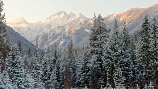 Mount Hadiken is one of my favorite mountains in the Elkford area. In early summer when the snow in the bowl starts to melt, numerous waterfalls are visible tumbling down.