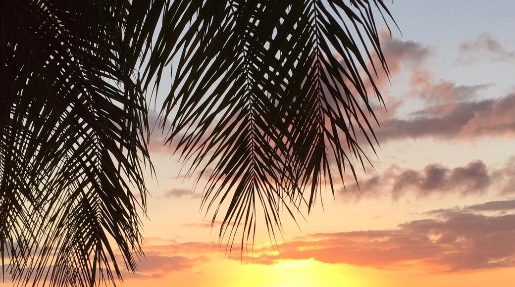 A room with a view, and a hotel that really knows how to look after its guests! #EndlessSummer