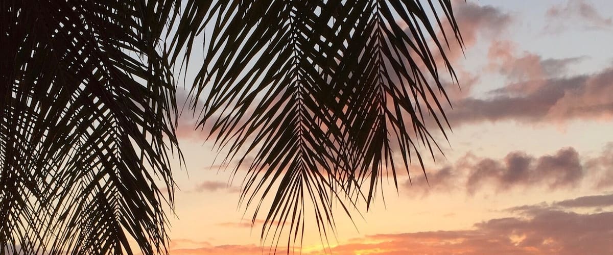 A room with a view, and a hotel that really knows how to look after its guests! #EndlessSummer