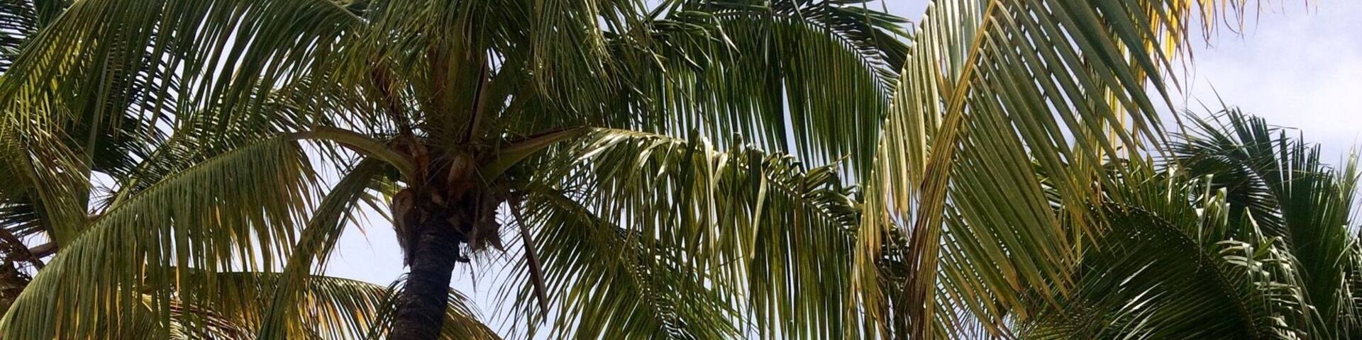 The BodyHoliday resort in Saint Lucia is a perfect place to relax and rejuvenate. The resort is lovely, the service is amazing and the people are so kind. No wonder this place is ranked as one of the best spas in the world.
#BestOf5 #EndlessSummer #BeachTips #BeachBound #BVSBlue